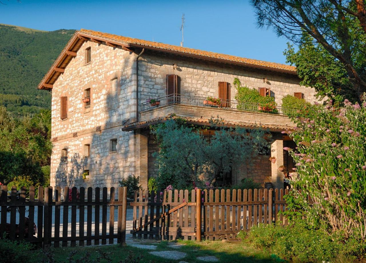 Il Giardino Dei Ciliegi