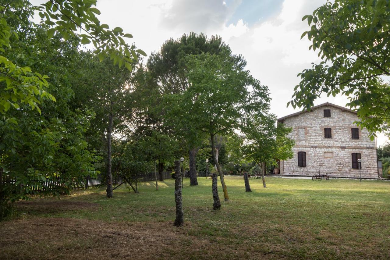 Il Giardino Dei Ciliegi Passaggio di Assisi
